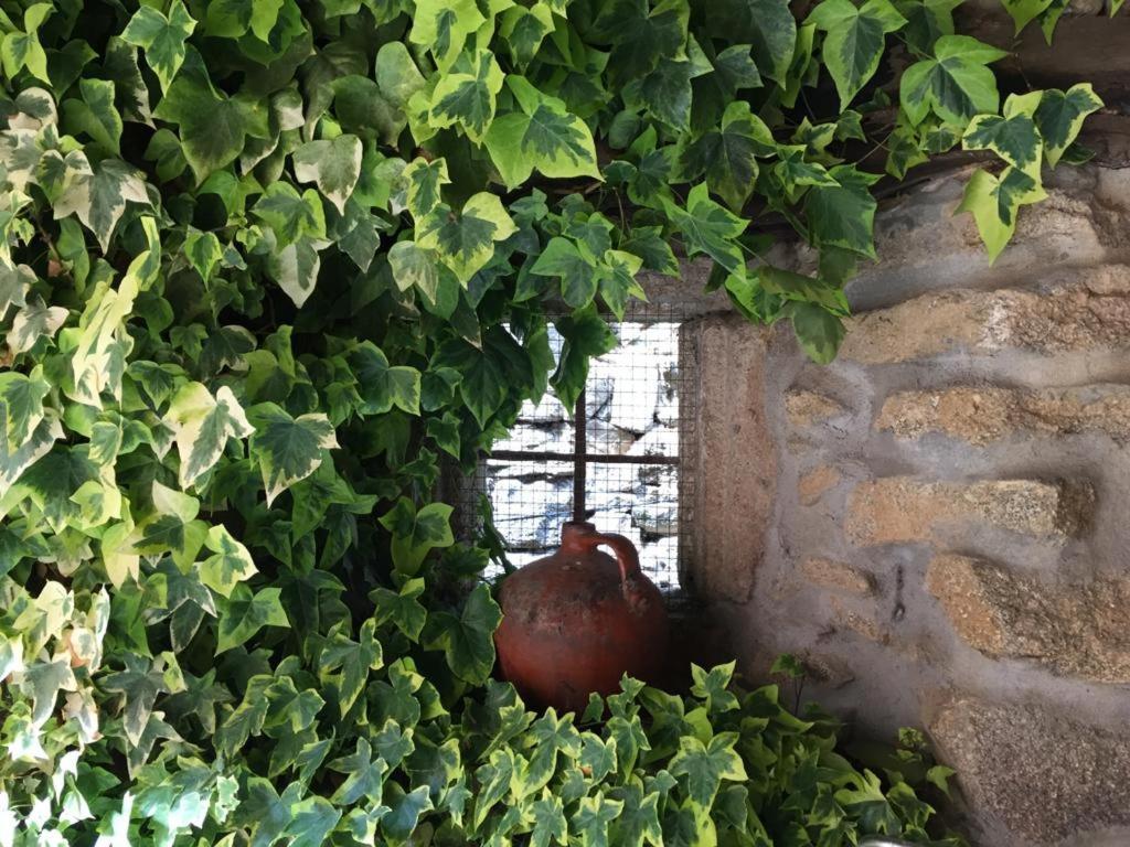 El Capricho De Ana Villa Neila de San Miguel Eksteriør billede